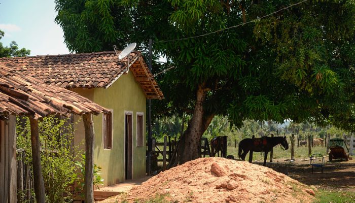 Acesso à TV digital gratuita transforma a realidade de milhares de famílias no Pará