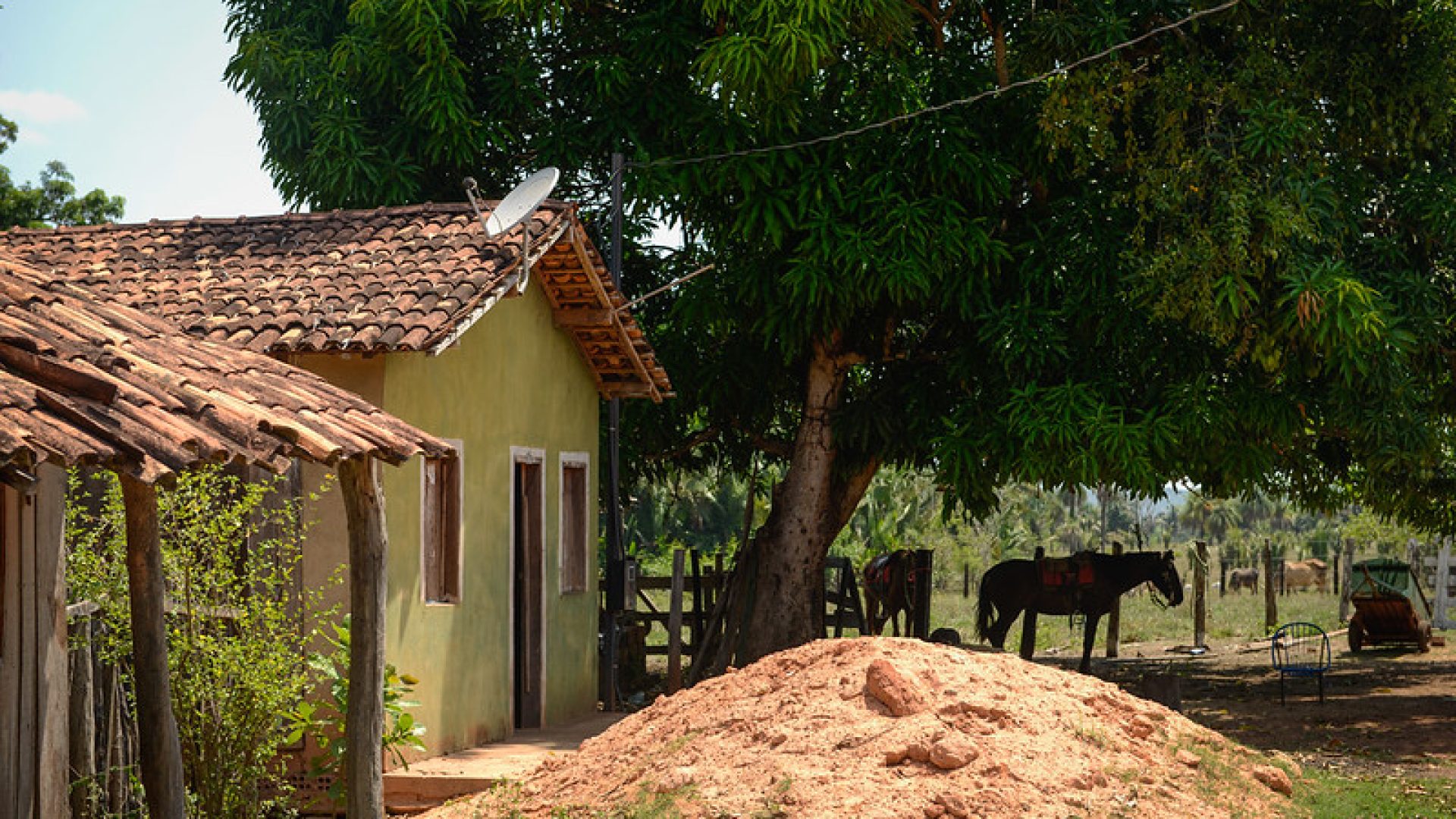 Acesso à TV digital gratuita transforma a realidade de milhares de famílias no Pará
