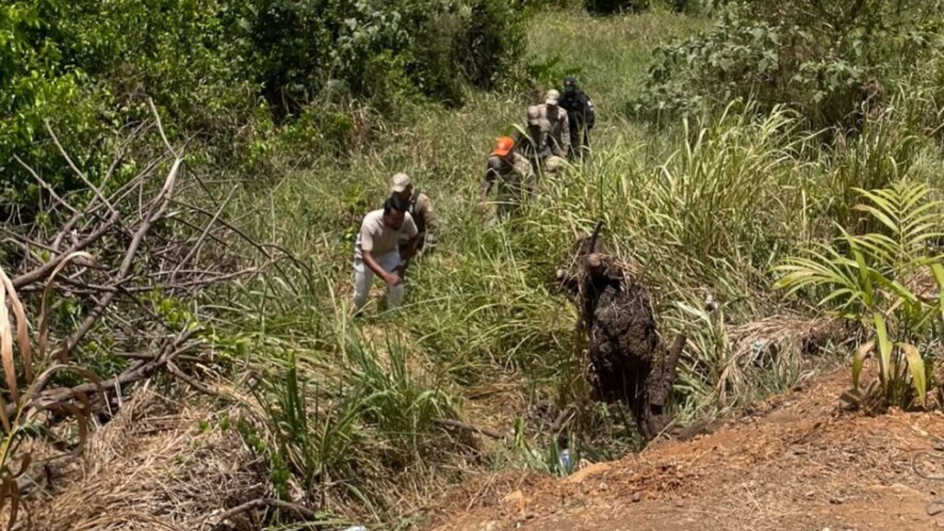 Adolescente desaparecido é encontrado morto em área de mata em Altamira