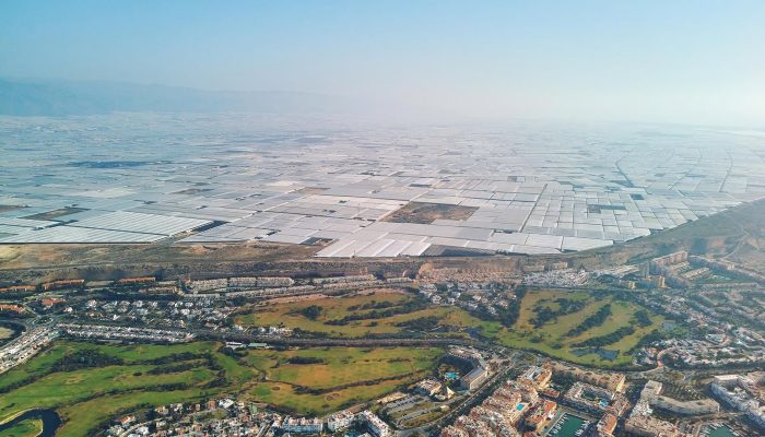 Almería e o impacto do mar de plástico na produção agrícola europeia
