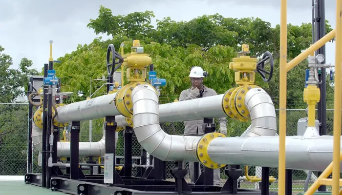 ANP mantém prazos para consulta do Gas Release, contrariando pedido de Petrobras e IBP