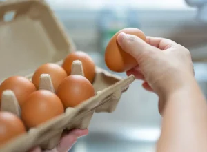 Armazenamento de ovos na geladeira: evite a porta para prevenir contaminação
