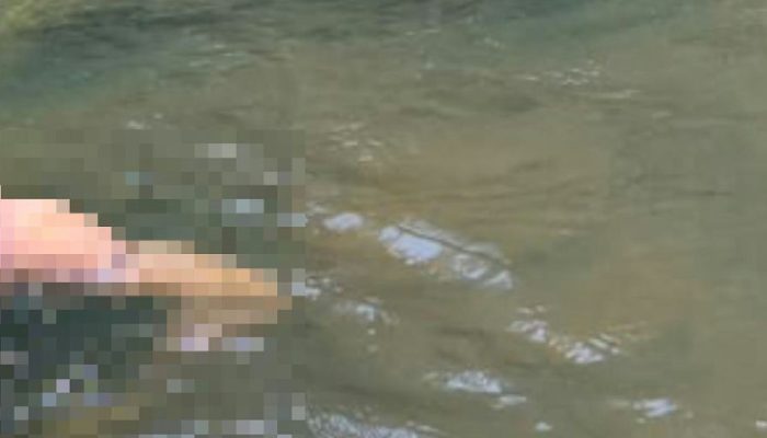 Autoridades investigam achado de corpo em avançado estado no Rio Pacajá