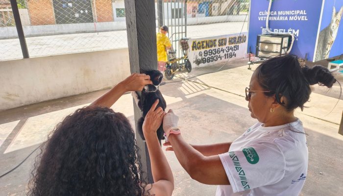 Belém Animal: programa itinerante em Mosqueiro registra centenas de atendimentos e vacinas