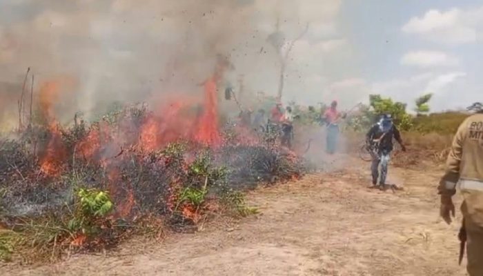 Brigadistas voluntários recebem treinamento para combate a incêndios em Vitória do Xingu
