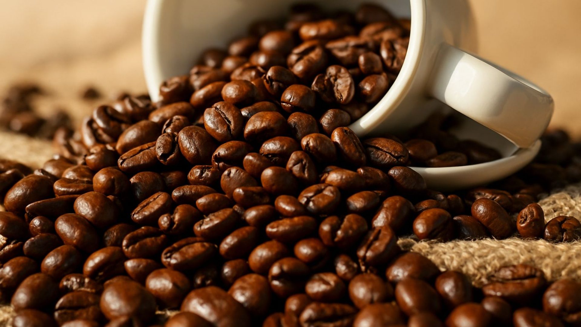 Café arábica registra queda de preço após período de alta