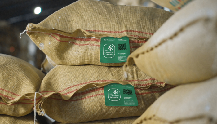 Café do Cerrado Mineiro: safra 2025/2026 impulsiona exportações e reconhecimento global