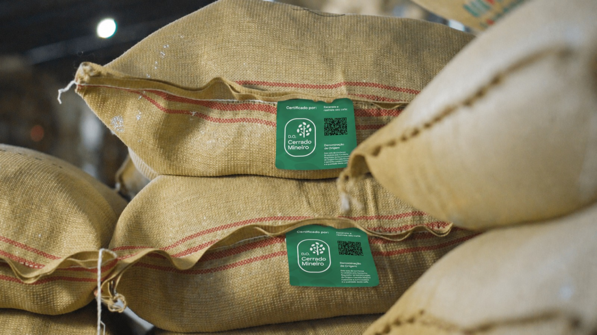 Café do Cerrado Mineiro: safra 2025/2026 impulsiona exportações e reconhecimento global