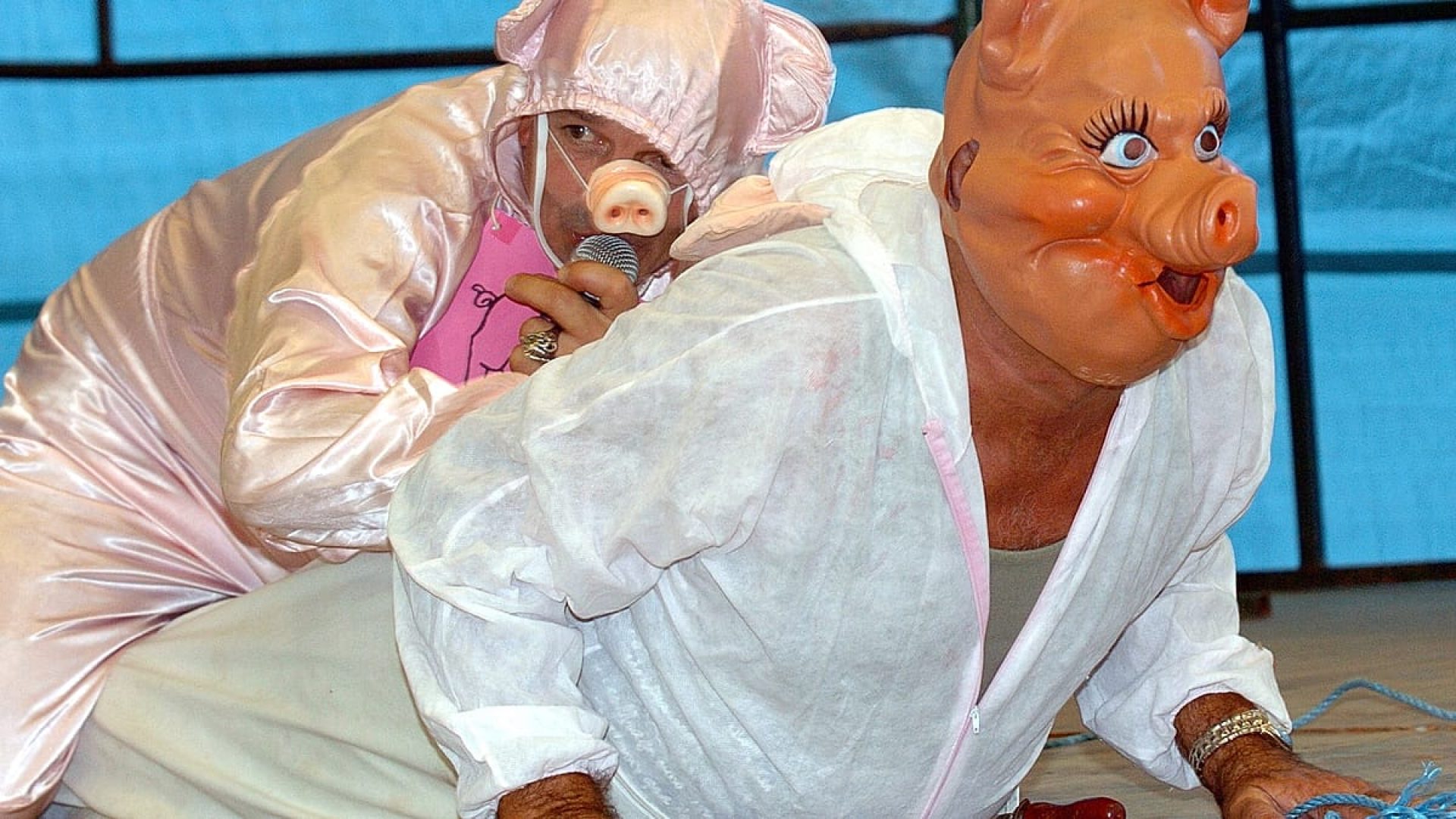 Campeonato de grunhidos de porco na França reúne milhares em celebração inusitada