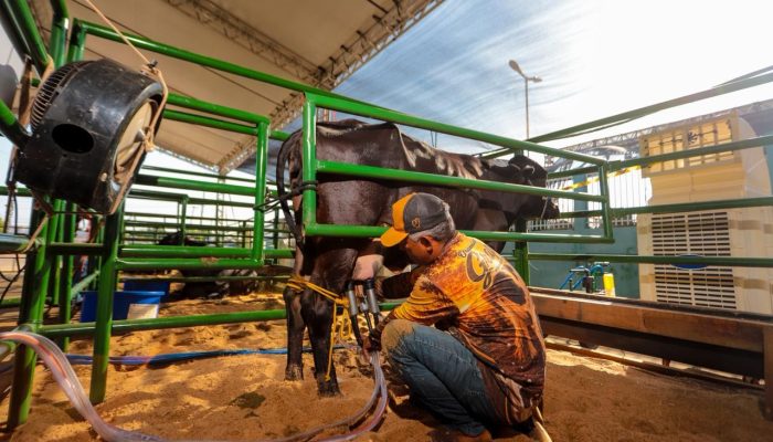 Canaã dos Carajás recebe 2º Torneio Leiteiro durante a 11ª Expocanaã