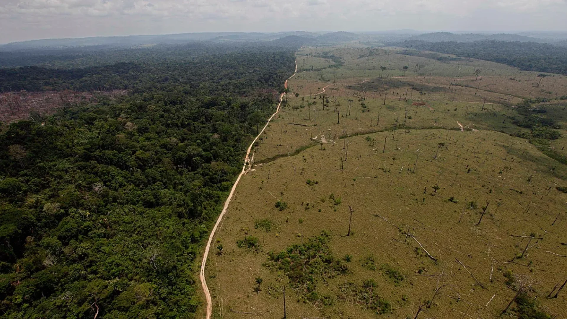 Cientistas identificam 51 soluções para reverter danos climáticos e restaurar o planeta
