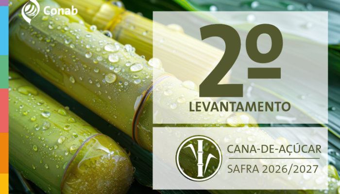 Conab: safra de cana-de açúcar 2026/27 deve crescer 4,7% e produzir 705,2 milhões de toneladas