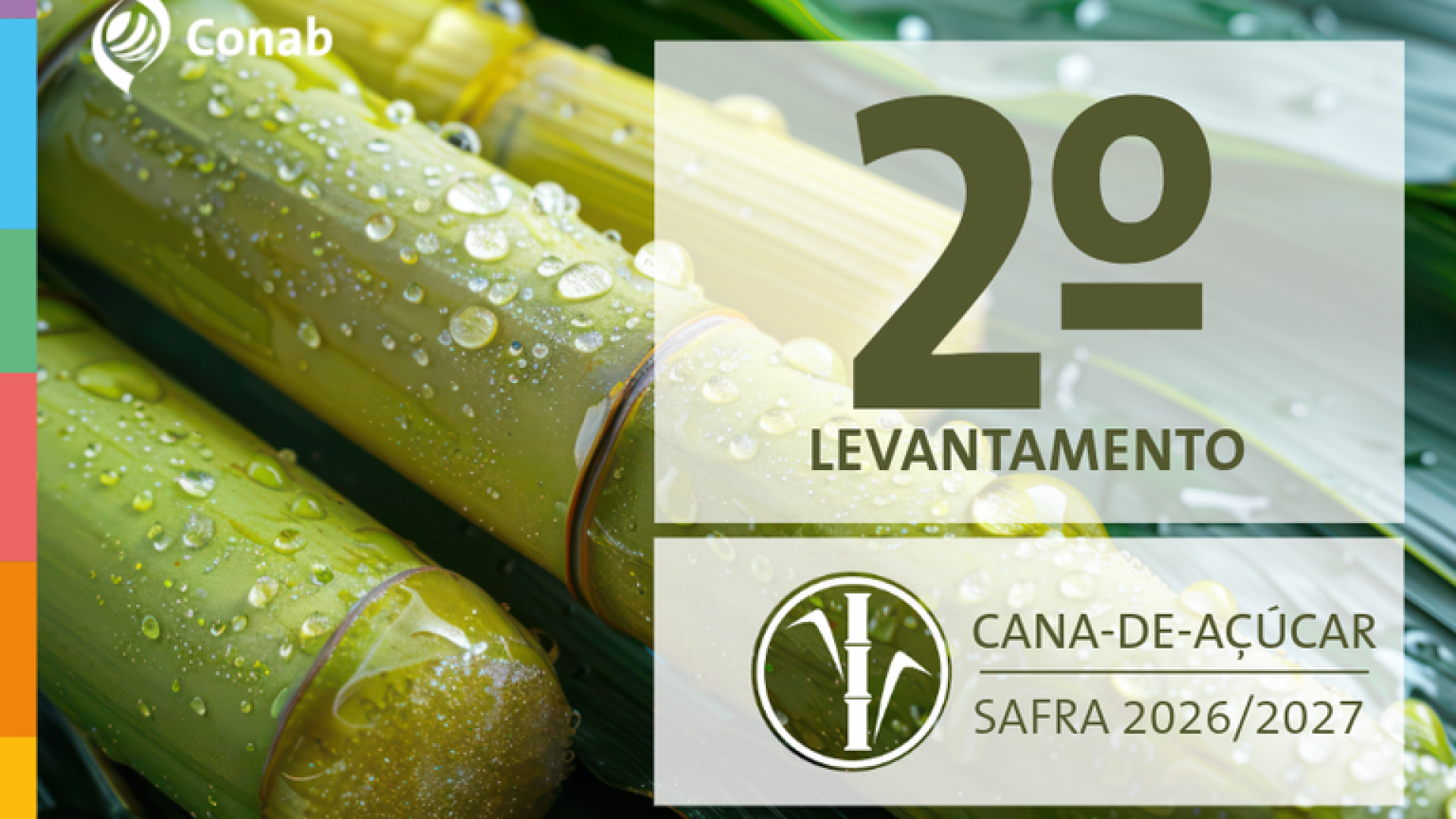 Conab: safra de cana-de açúcar 2026/27 deve crescer 4,7% e produzir 705,2 milhões de toneladas