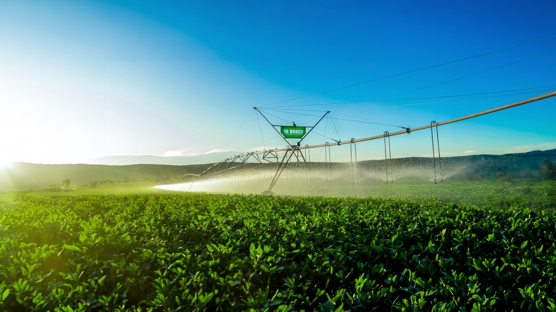 Coopercitrus Expo 2026 destaca inovações em irrigação e financiamento agrícola