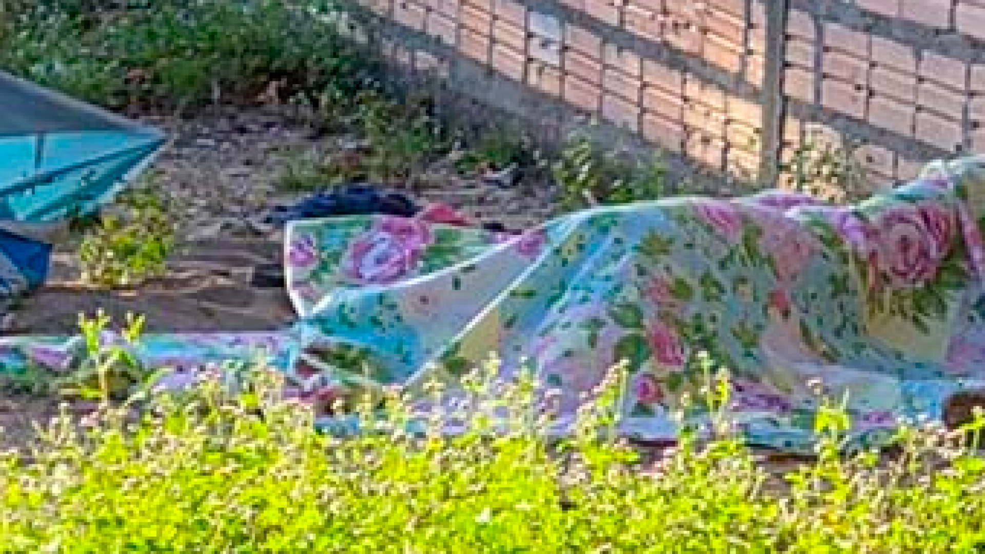 Corpo de mulher com marcas de violência é localizado em terreno abandonado de Santarém