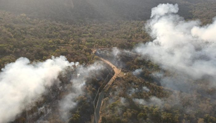 Defesa Civil libera R$ 1,5 milhão para cidades do Pará atingidas por incêndios e chuvas intensas