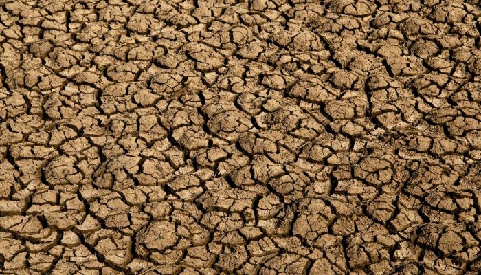 Desertificação avança no Brasil e põe em xeque segurança hídrica e alimentar de milhões
