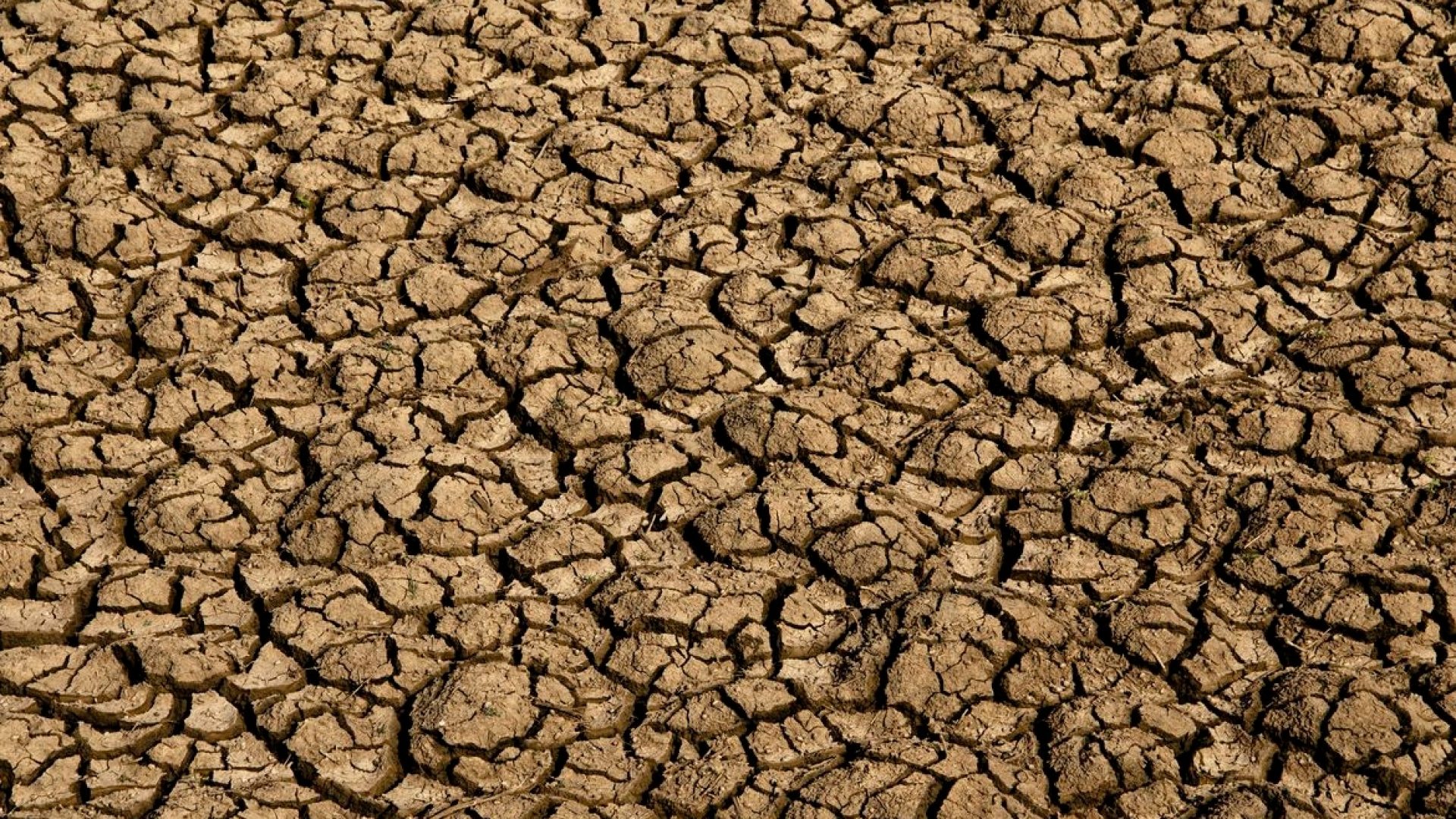 Desertificação avança no Brasil e põe em xeque segurança hídrica e alimentar de milhões