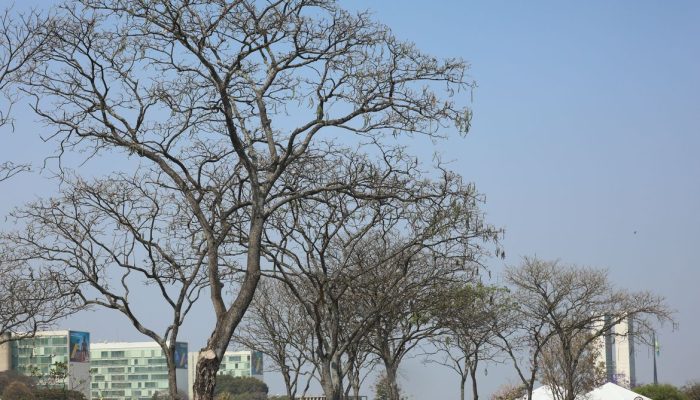 Dez estados e o DF estão sob alerta de perigo para baixa umidade Saiba quais localidades o Inmet considera sensíveis