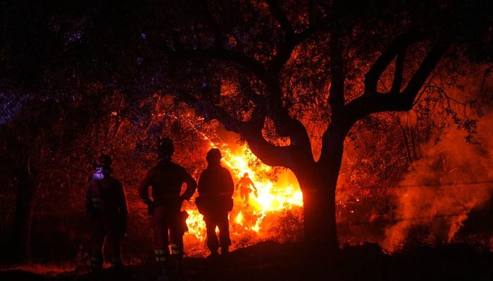 Espanha em alerta máximo: grandes incêndios florestais exigem evacuações e táticas adaptadas