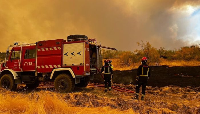 Espanha em alerta máximo por incêndios florestais que desalojam 63 mil pessoas