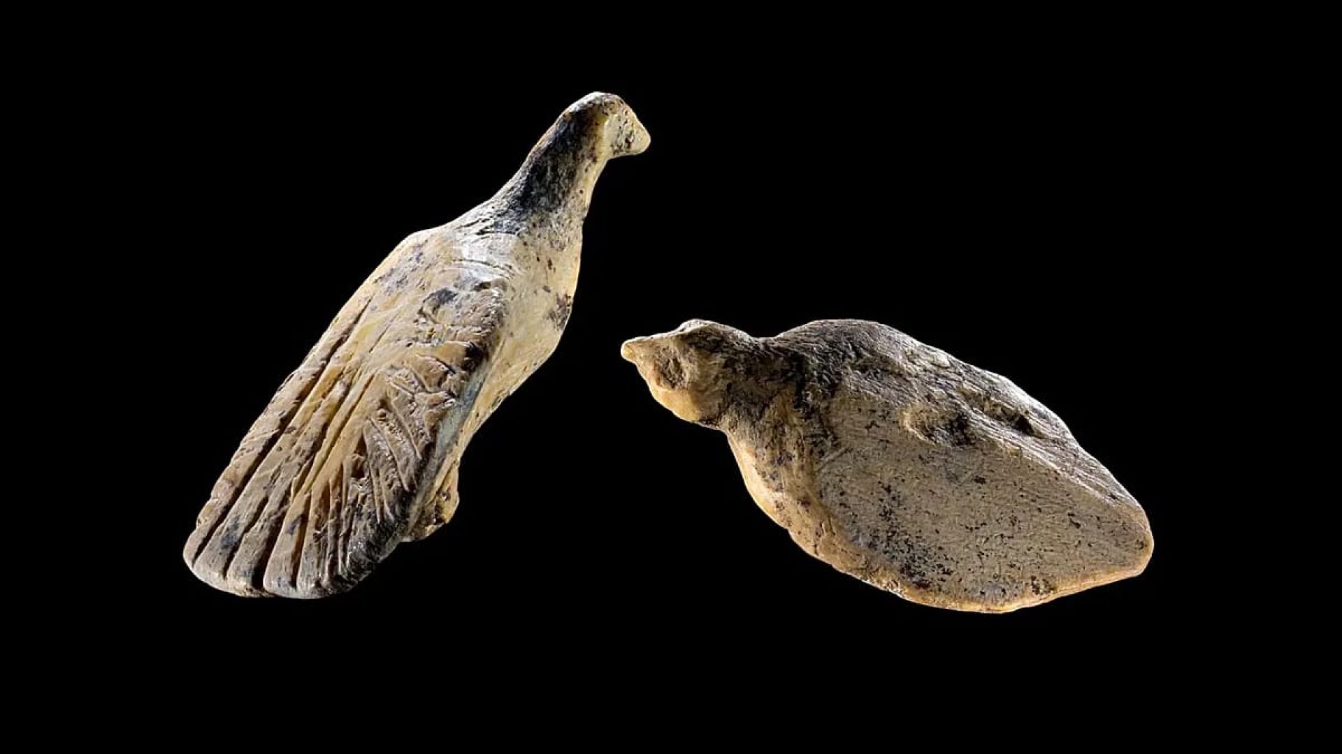 Figuras de aves em marfim de mamute de 40 mil anos revelam arte ancestral na Alemanha