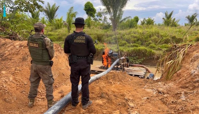 Garimpo ilegal: PF e Ibama desmantelam infraestrutura em terra indígena no Pará