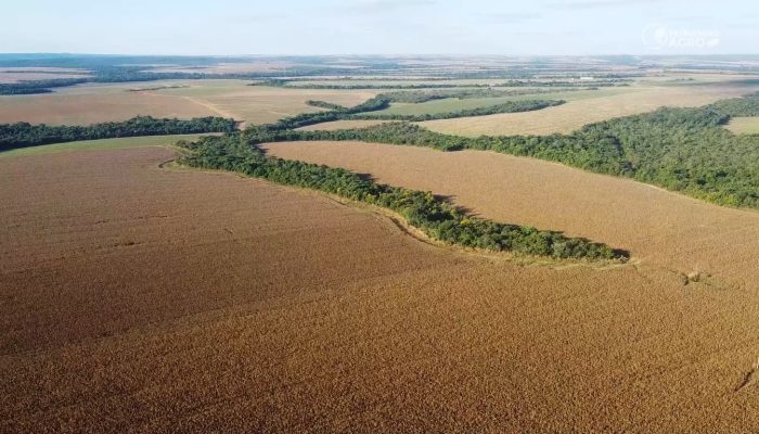 Canal Rural Mato Grosso
