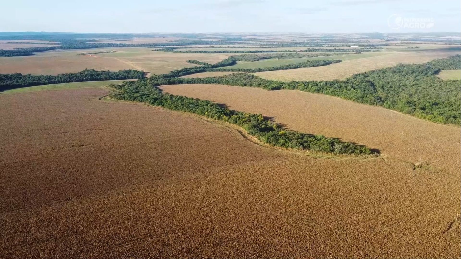 Canal Rural Mato Grosso