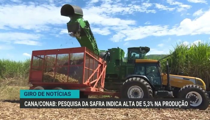 tação de uvas ao Azerbaijão, um destino inédito para a fruta nacional. O acordo