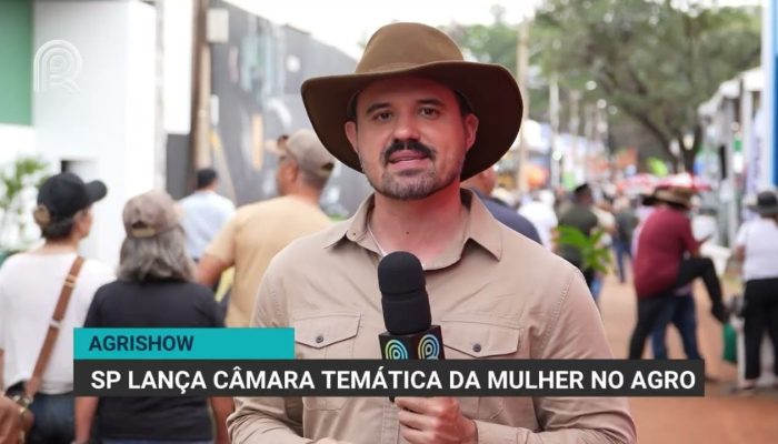 tância do reconhecimento feminino A criação da Câmara Temática é um reconhecimen
