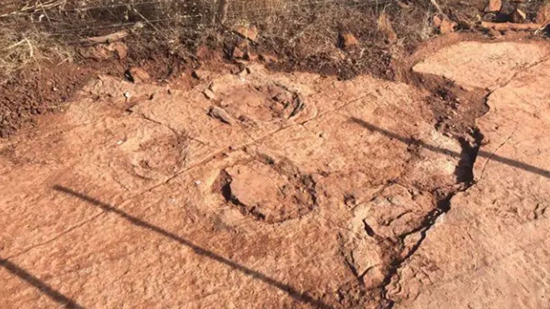 ali há 140 milhões de anos era um dinossauro carnívoro de grande porte, possivel