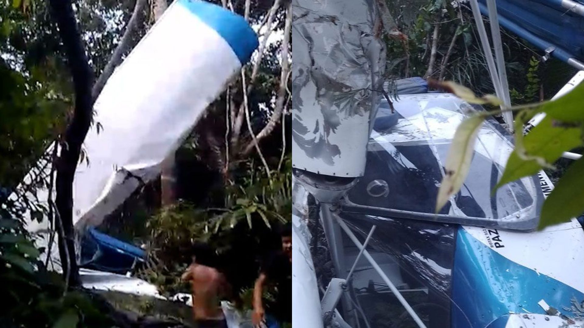 te caiu em uma área de mata na comunidade de Mucurerú, na região do rio Arapyuns