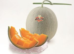 Foto: Divulgação/Ministério da Agricultura, Silvicultura e Pesca do Japão