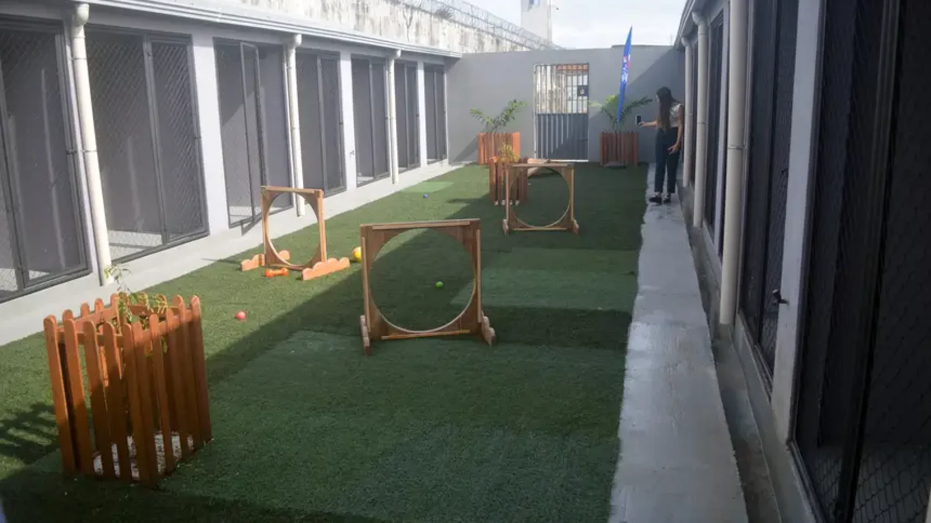 meio de seus órgãos de proteção e atendimento a animais em situação de rua, como