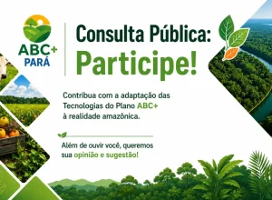 tes Polícia Entretenimento Coluna Parauapebas Marabá Pará Municípios Ananindeua