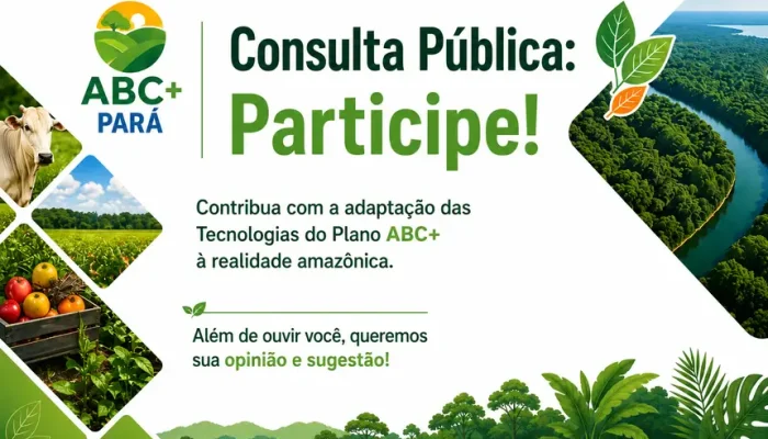 tes Polícia Entretenimento Coluna Parauapebas Marabá Pará Municípios Ananindeua