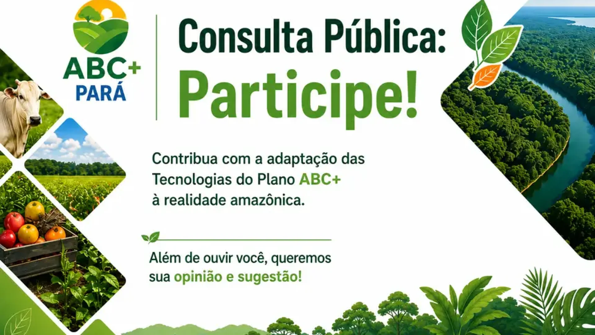 tes Polícia Entretenimento Coluna Parauapebas Marabá Pará Municípios Ananindeua