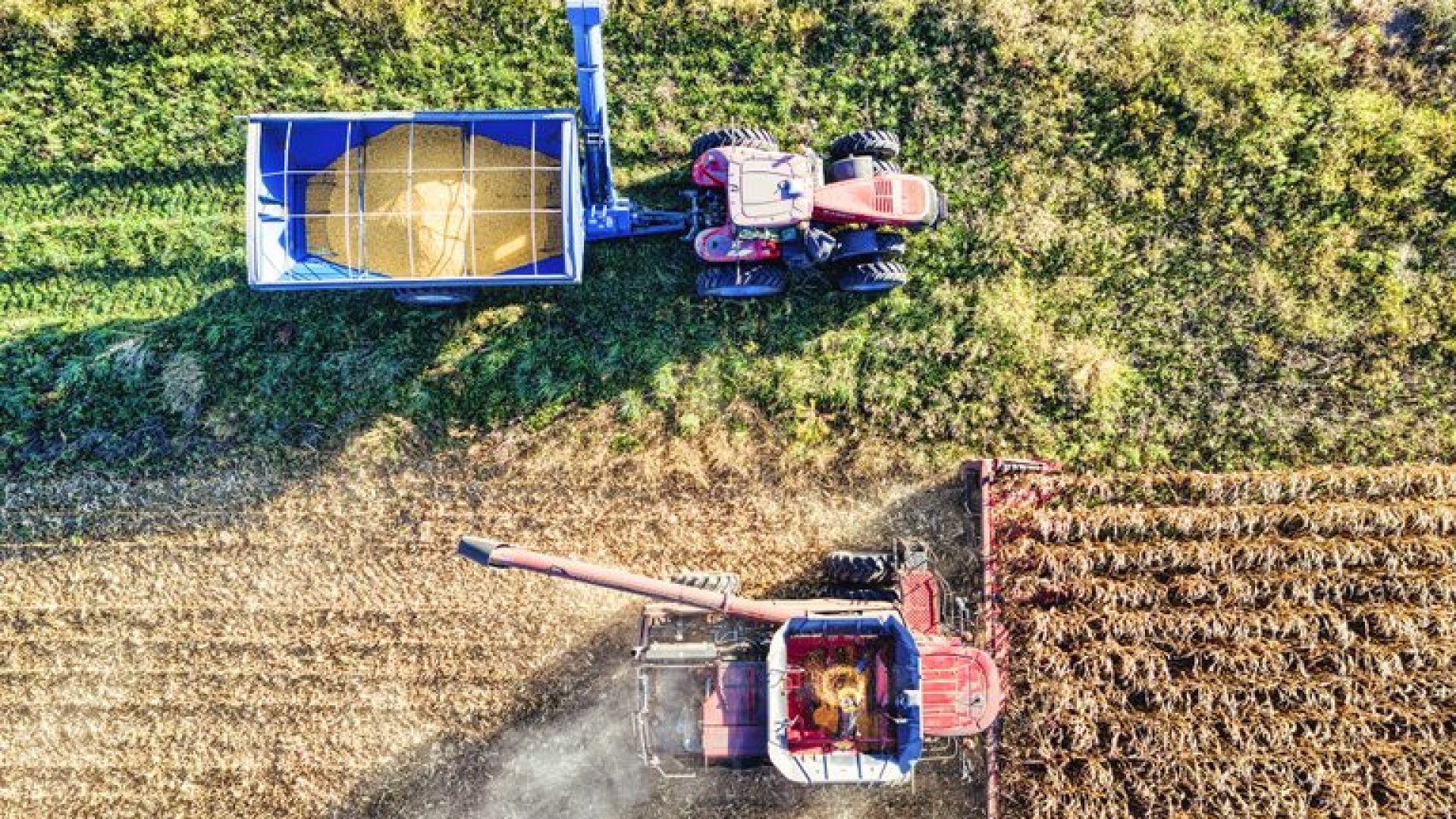 rural-empresarial-atinge-r-3912-bilhoes-no-plano-safra-2025-2026/">Crédito rural empresarial atinge