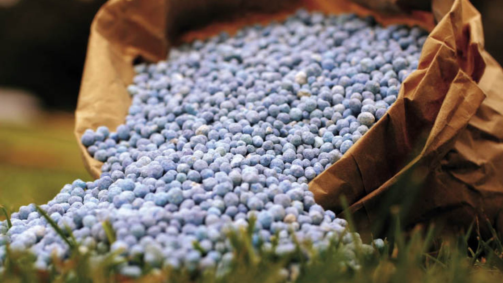 Fertilizantes registram alta no mercado e impactam o poder de compra do produtor rural