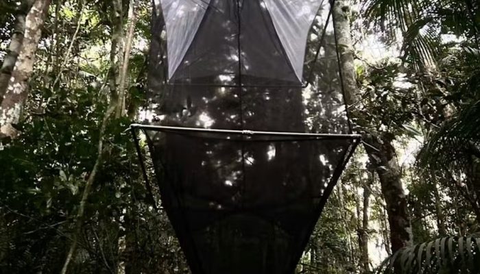 Armadilha de interceptação de vôo (Malaise) utilizada para coleta de insetos. — Foto: Divulgação
