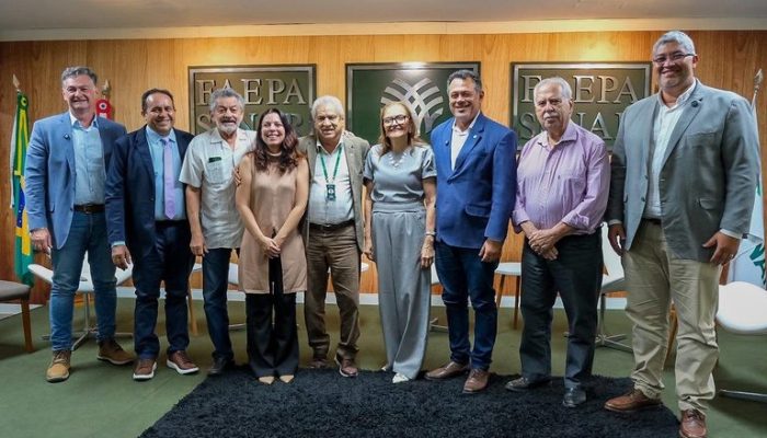 Produção sustentável de cacau: milhões impulsionam biomas brasileiros