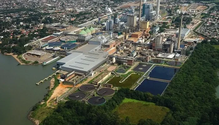 Burocracia ambiental no Brasil ameaça megaprojeto de celulose e expõe risco de evasão de investimentos