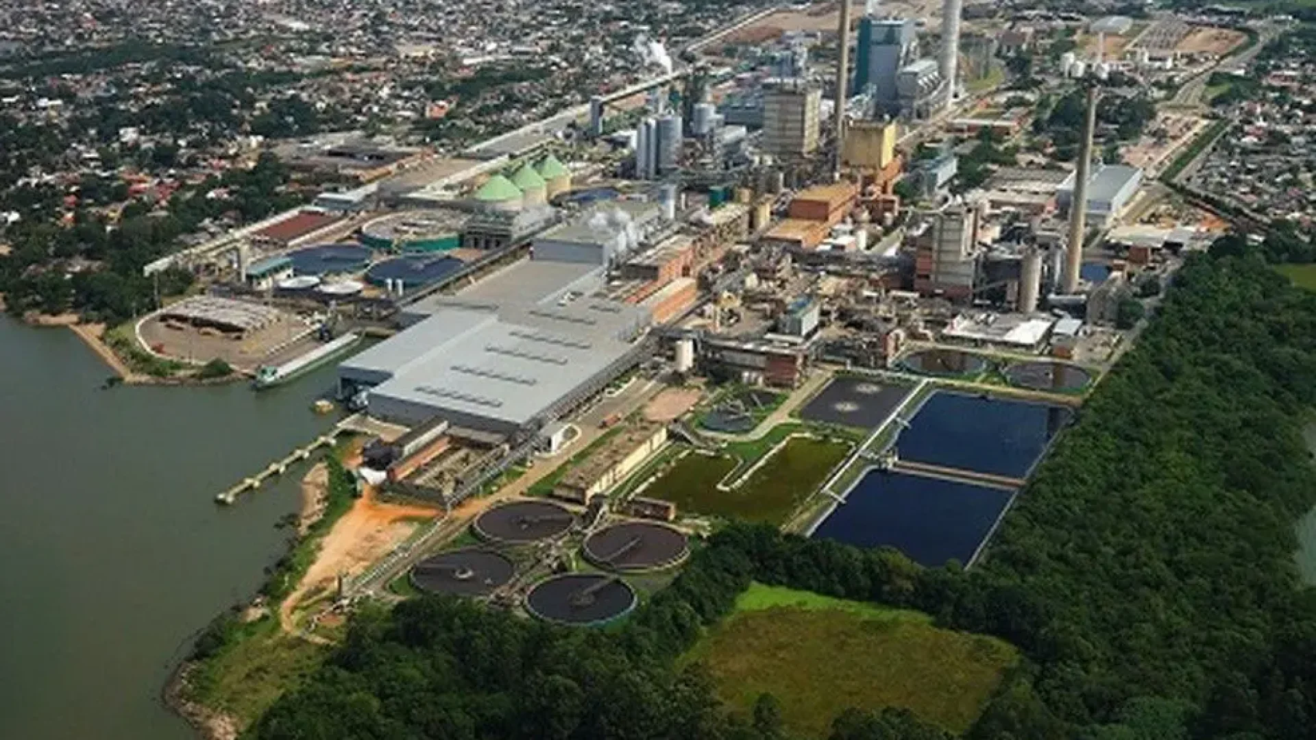 Burocracia ambiental no Brasil ameaça megaprojeto de celulose e expõe risco de evasão de investimentos