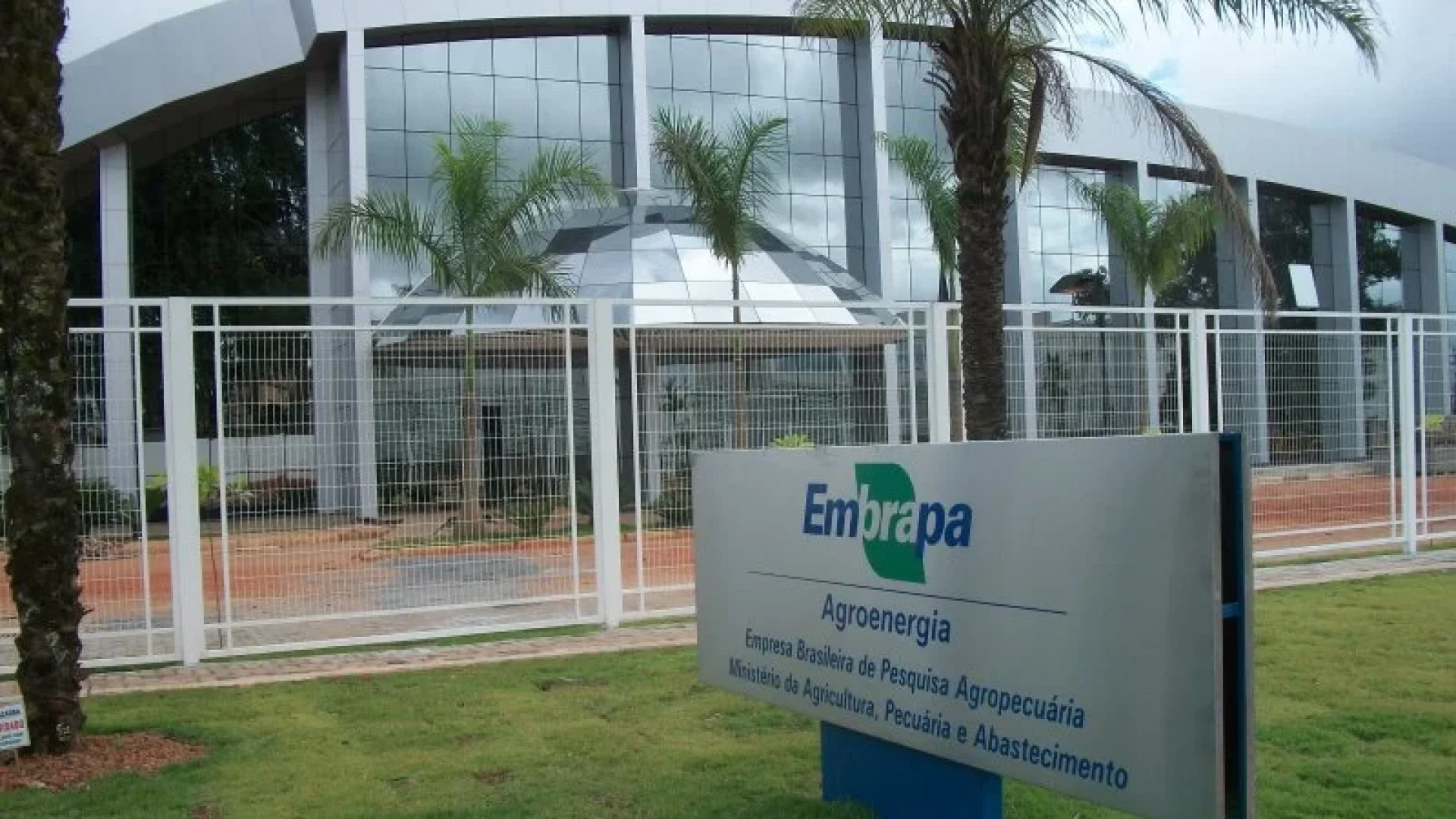 Embrapa expande atuação em SP com novo escritório e parceria para qualificar produtores