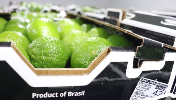 tadores brasileiros de potenciais compradores e reforçou a promoção da fruticult