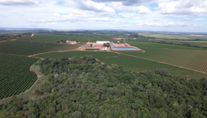 Sustentabilidade no agronegócio: cooperativa do Cerrado Mineiro é premiada por protocolo inovador