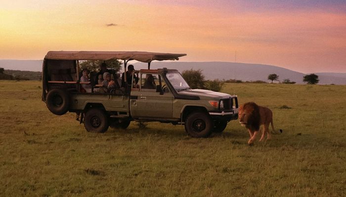 &Aacute;frica: novos lodges de safari redefinem o luxo na natureza
