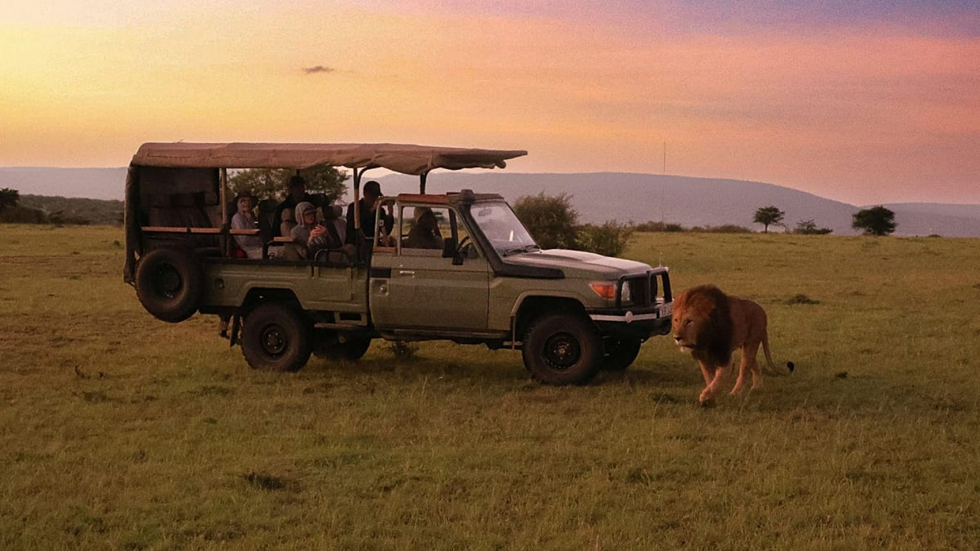 &Aacute;frica: novos lodges de safari redefinem o luxo na natureza