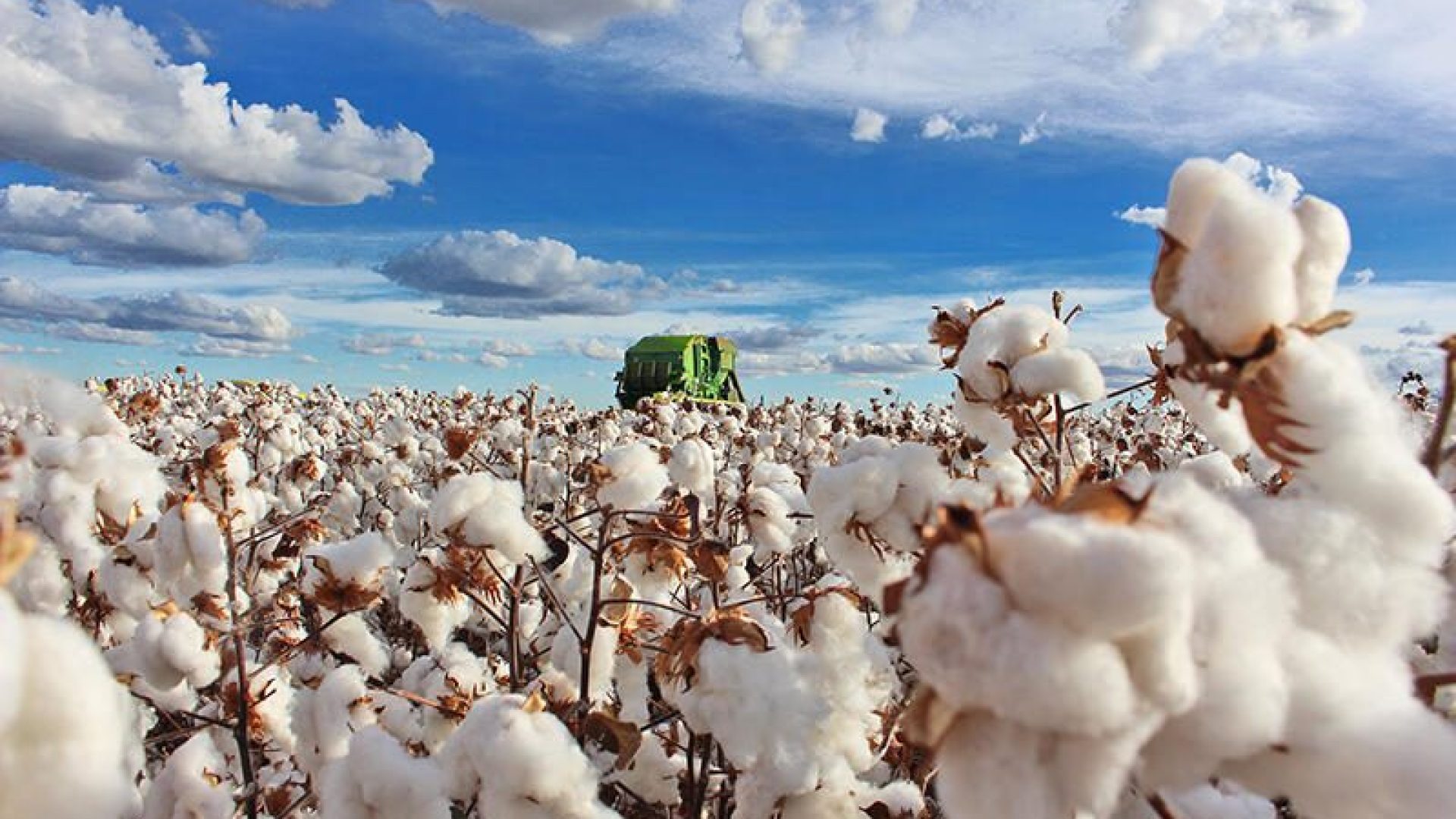 Análise de fibras impulsiona algodão baiano com novo centro na Bahia Farm Show 2026